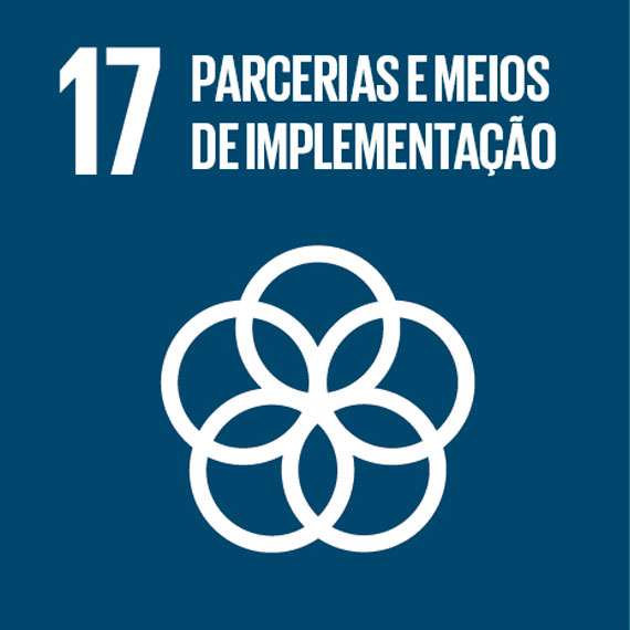 ODS 17 — Parcerias e meios de implementação